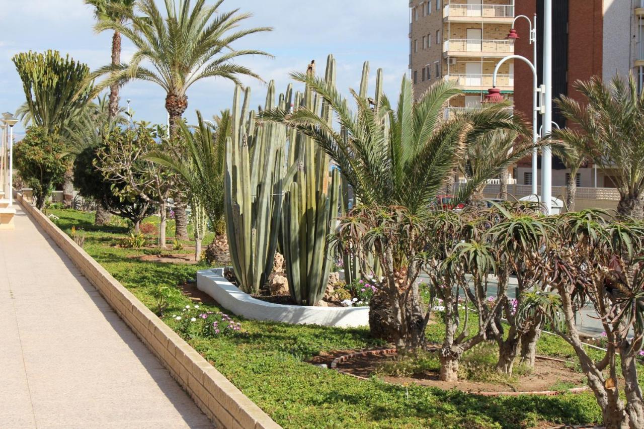 Apartamento Arenales Arenales del Sol Dış mekan fotoğraf